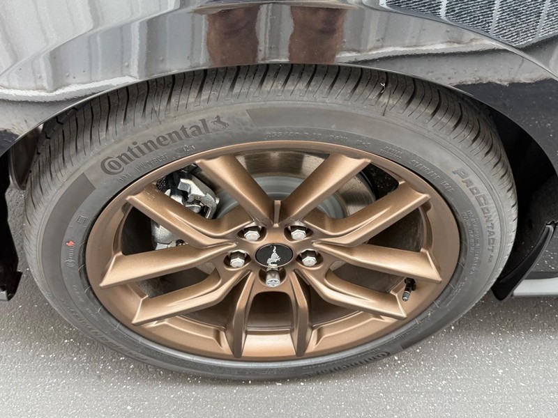 Ford Mustang Vehicle Full-screen Gallery Image 4