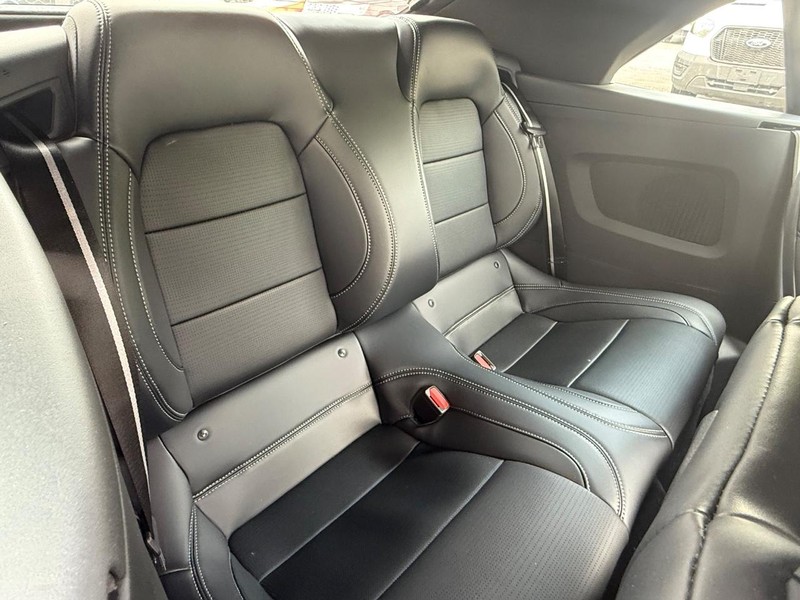 Ford Mustang Vehicle Full-screen Gallery Image 5