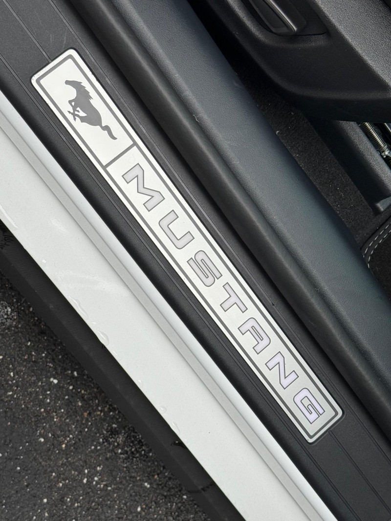 Ford Mustang Vehicle Full-screen Gallery Image 8