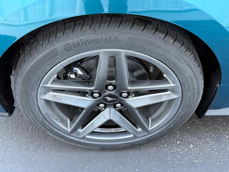 Ford Mustang Vehicle Full-screen Gallery Image 4