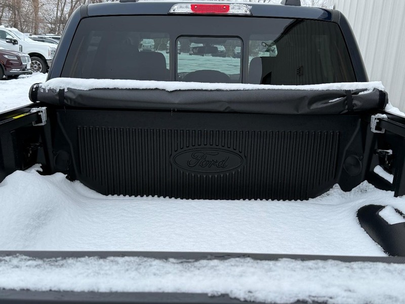 Ford F-150 Vehicle Full-screen Gallery Image 5