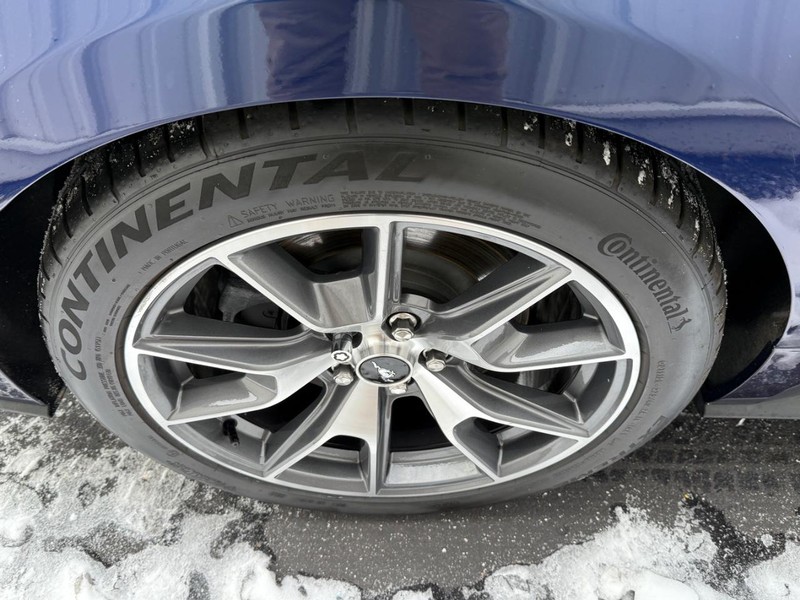 Ford Mustang Vehicle Full-screen Gallery Image 6