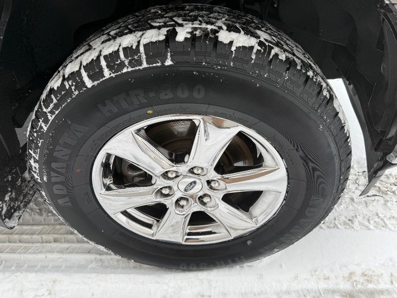 Ford F-150 Vehicle Full-screen Gallery Image 7