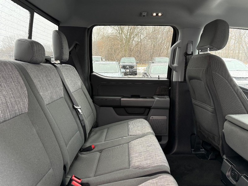 Ford F-150 Vehicle Full-screen Gallery Image 9