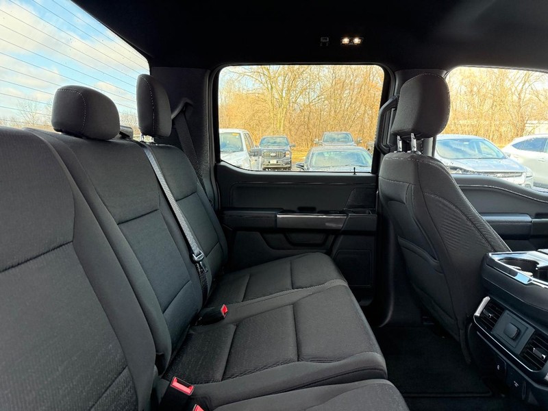 Ford F-150 Vehicle Full-screen Gallery Image 9