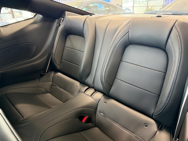 Ford Mustang Vehicle Full-screen Gallery Image 6