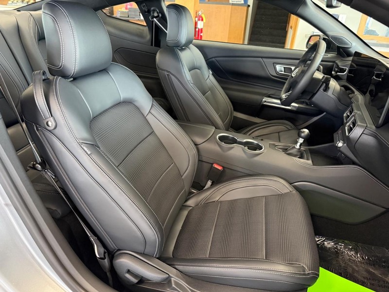 Ford Mustang Vehicle Full-screen Gallery Image 10