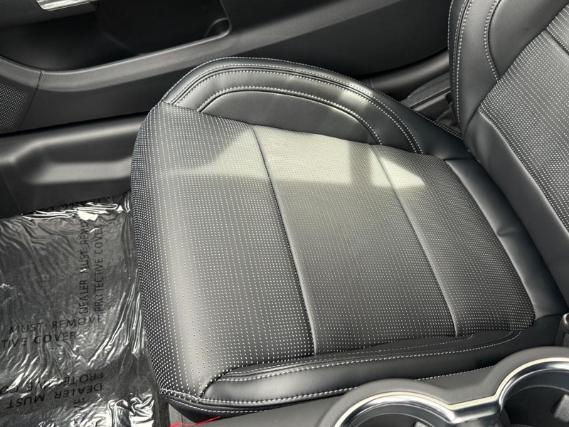 Ford Mustang Vehicle Full-screen Gallery Image 19