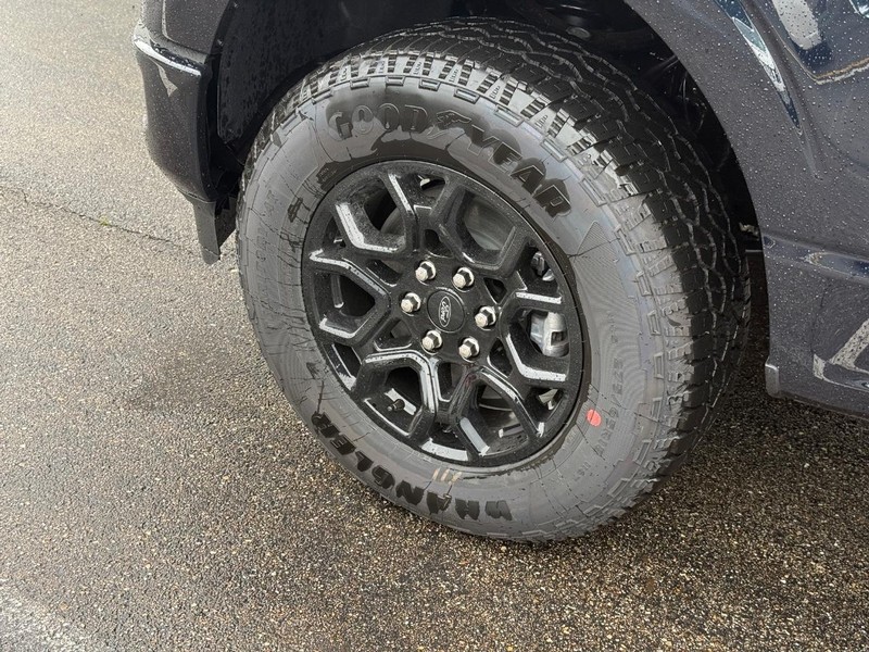 Ford F-150 Vehicle Full-screen Gallery Image 9