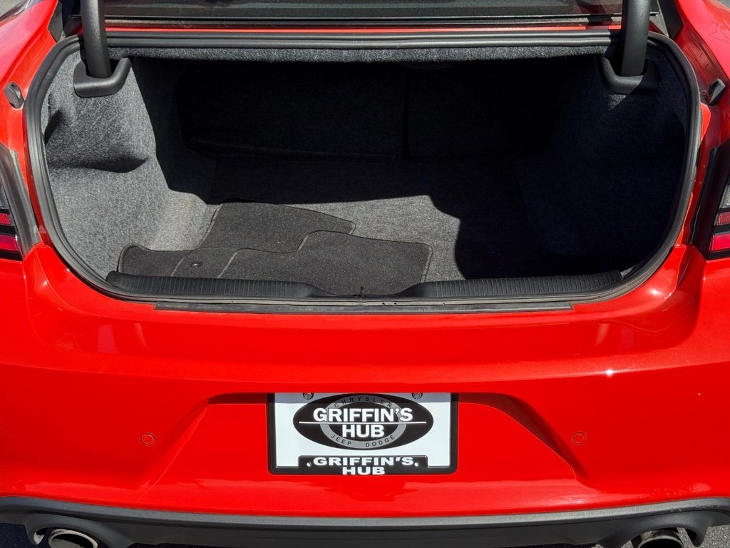 Dodge Charger Vehicle Full-screen Gallery Image 07