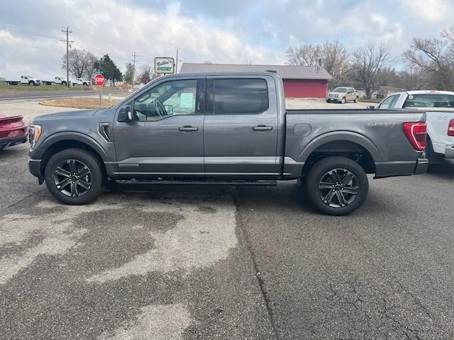 2023 Ford F-150 XLT at Hainen Ford in Tipton MO