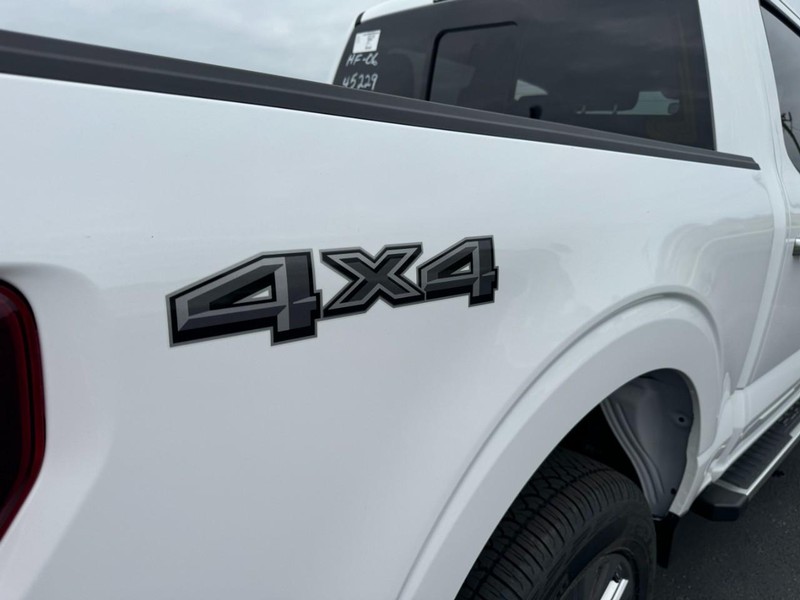 Ford F-150 Vehicle Image 04