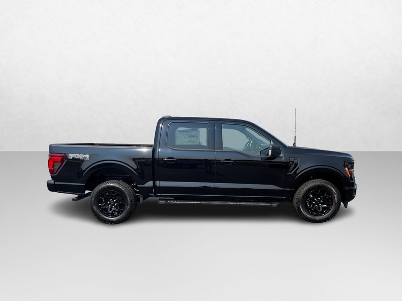 Ford F-150 Vehicle Image 02