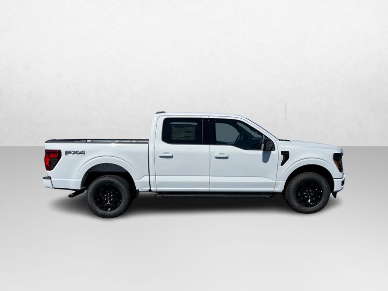 Ford F-150 Vehicle Image 02