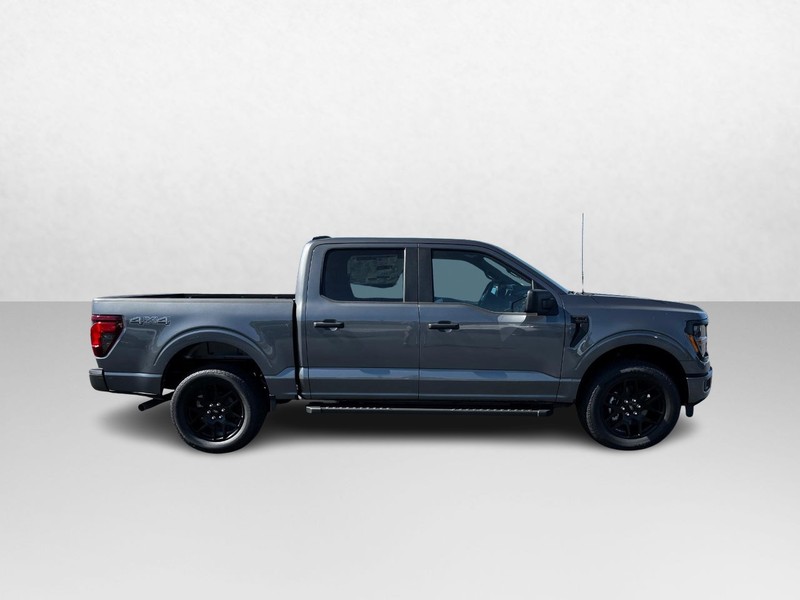 Ford F-150 Vehicle Image 02