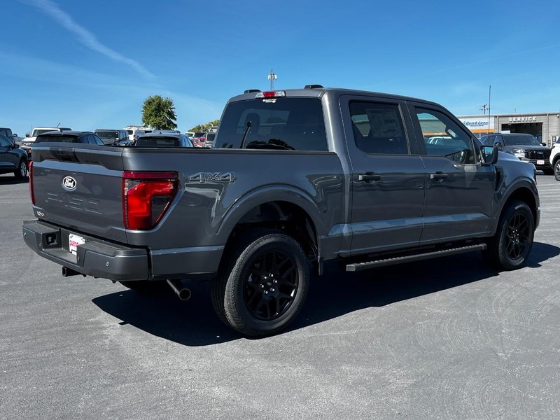 Ford F-150 Vehicle Image 03