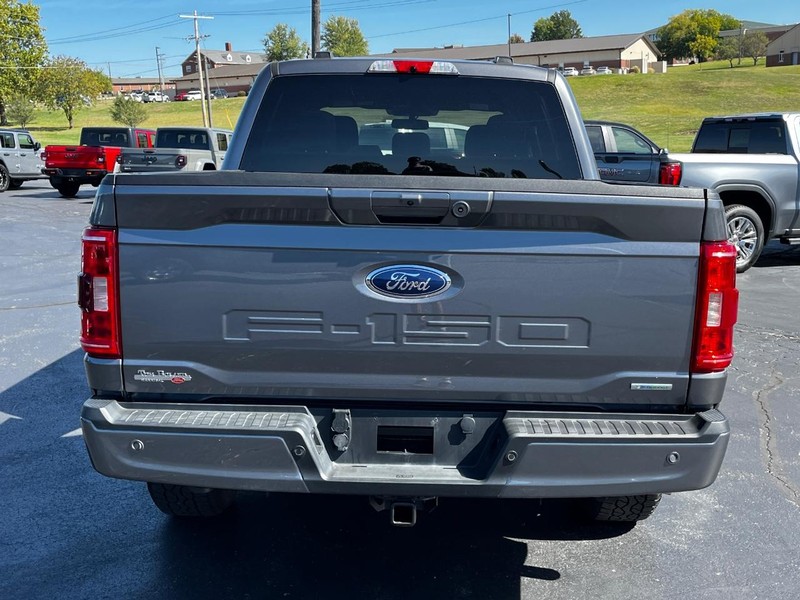 Ford F-150 Vehicle Image 04