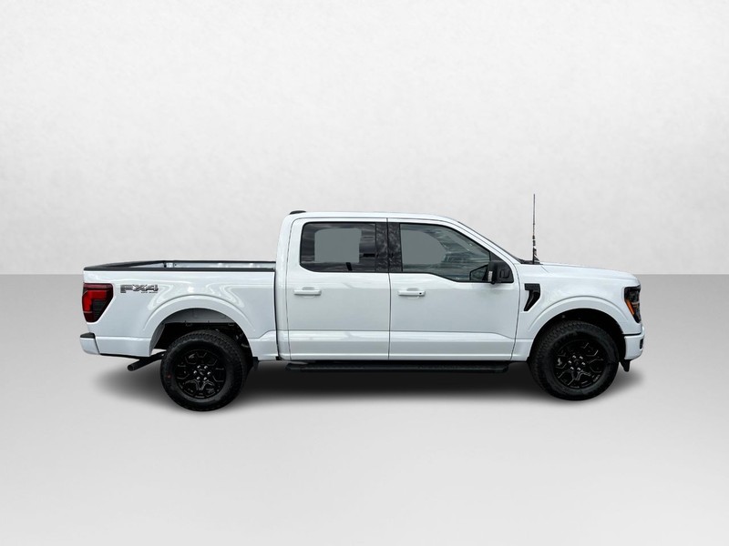 Ford F-150 Vehicle Image 02