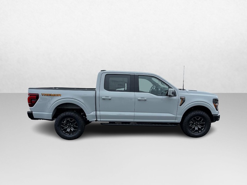 Ford F-150 Vehicle Image 02