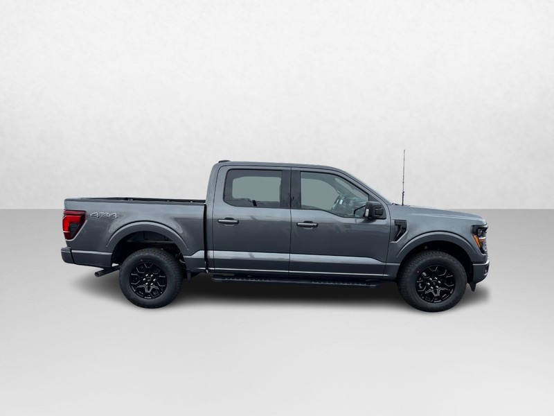 Ford F-150 Vehicle Image 02