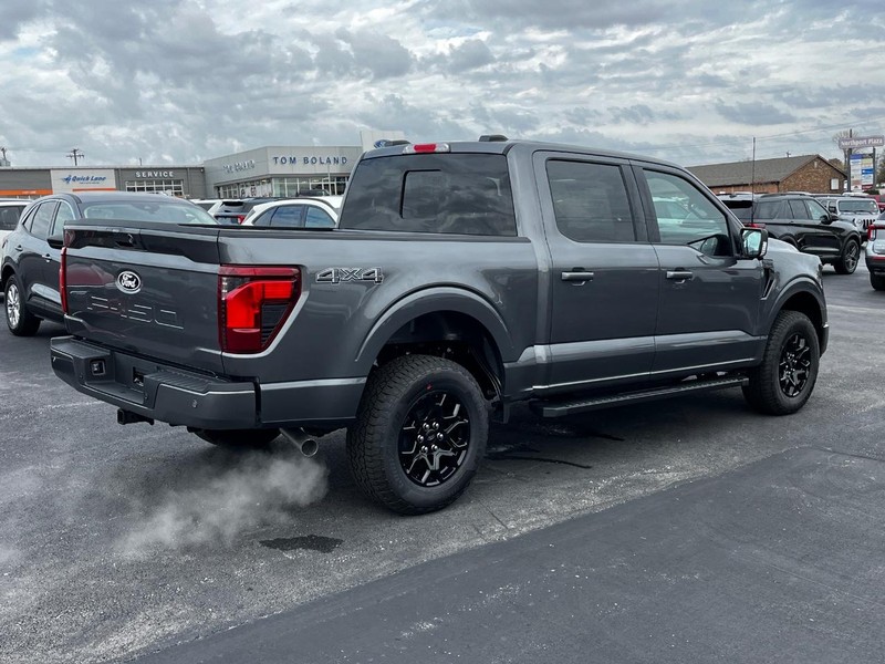 Ford F-150 Vehicle Image 03