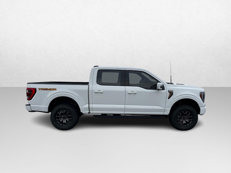 Ford F-150 Vehicle Image 02