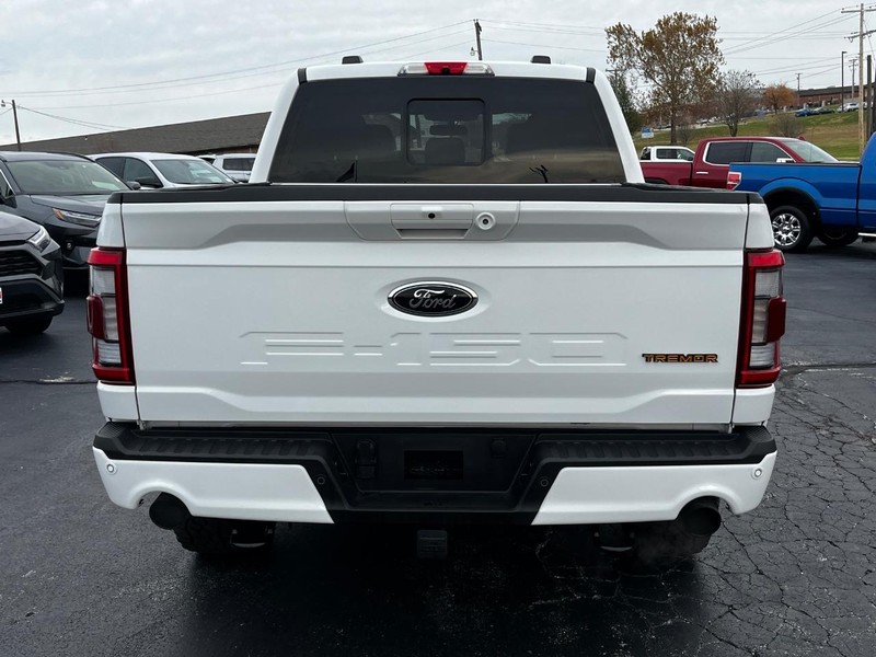 Ford F-150 Vehicle Image 04