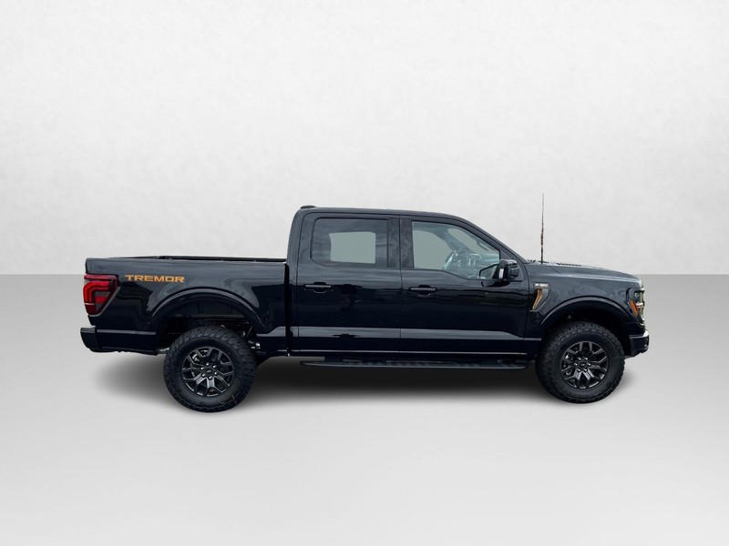 Ford F-150 Vehicle Image 02