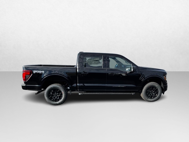 Ford F-150 Vehicle Image 02