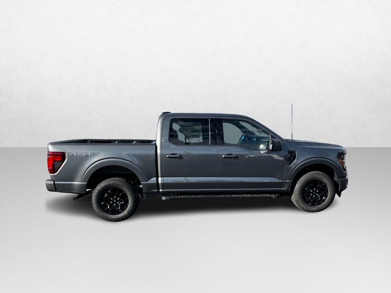 Ford F-150 Vehicle Image 02