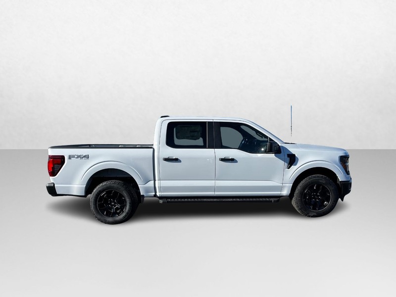 Ford F-150 Vehicle Image 02