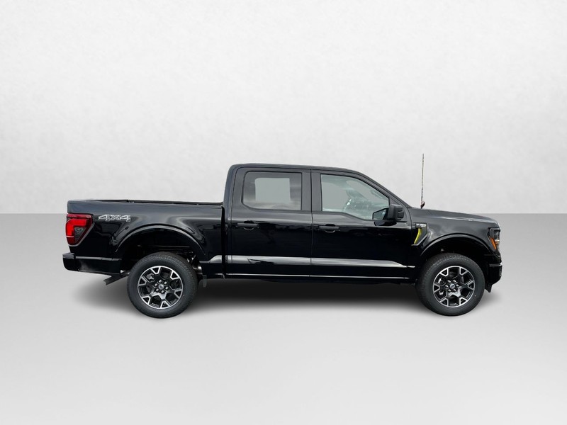 Ford F-150 Vehicle Image 02