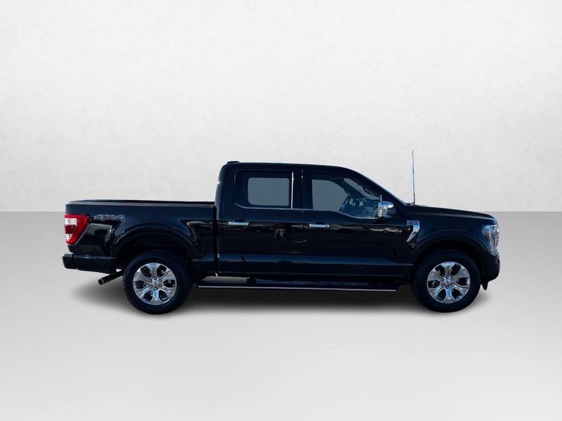 Ford F-150 Vehicle Image 02