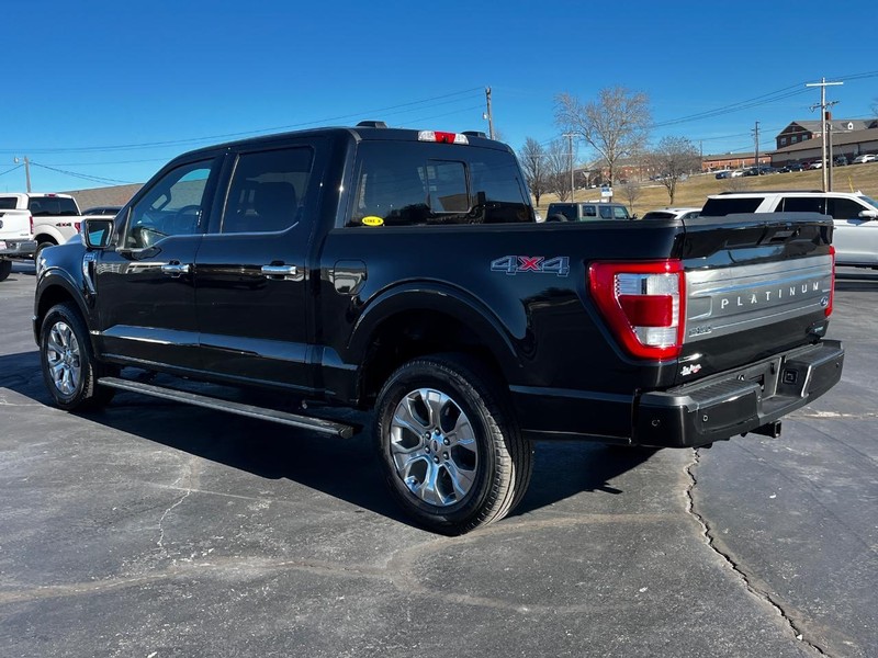 Ford F-150 Vehicle Image 06