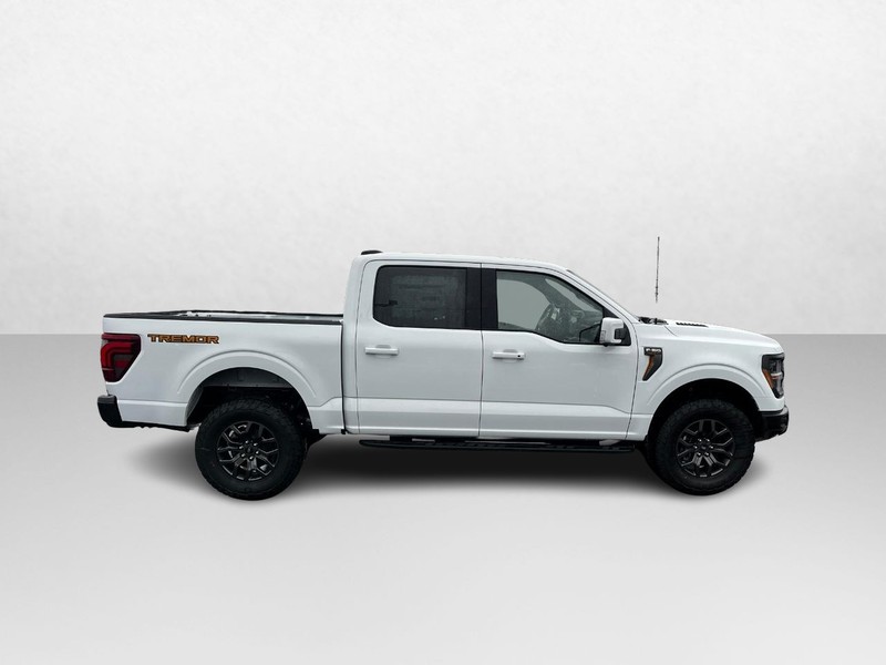 Ford F-150 Vehicle Image 02