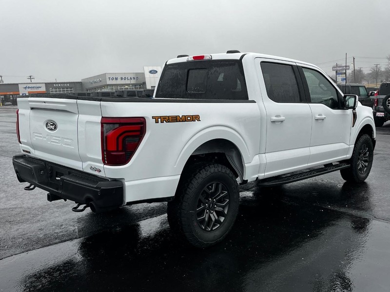 Ford F-150 Vehicle Image 03