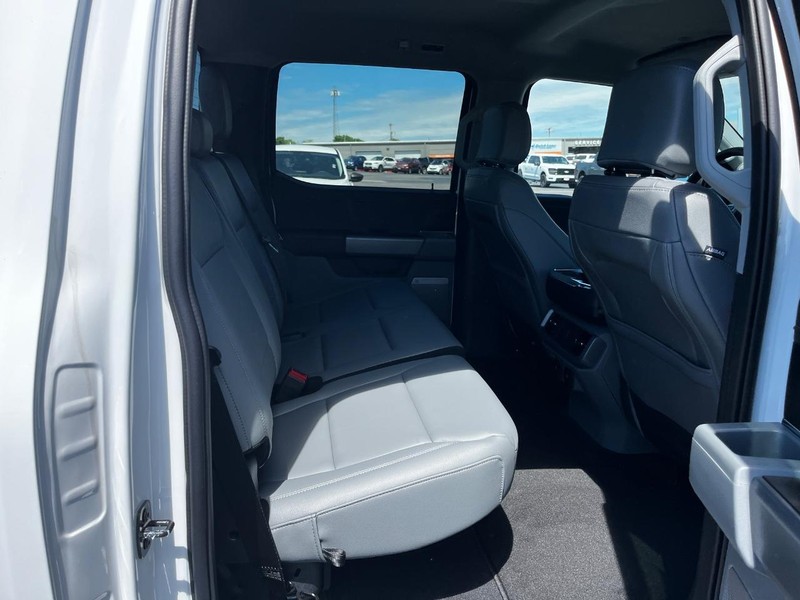 Ford F-150 Lightning Vehicle Image 04