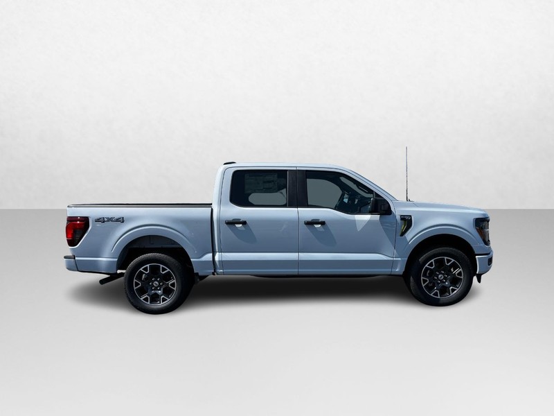 Ford F-150 Vehicle Image 02