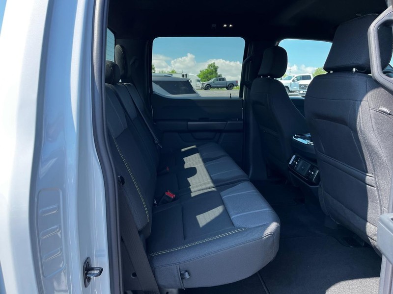 Ford F-150 Vehicle Image 04
