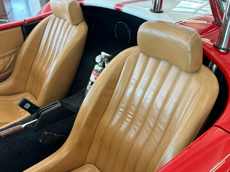 Shelby Cobra Vehicle Image 13