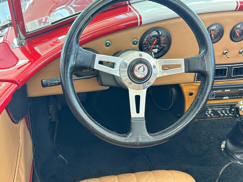 Shelby Cobra Vehicle Image 17