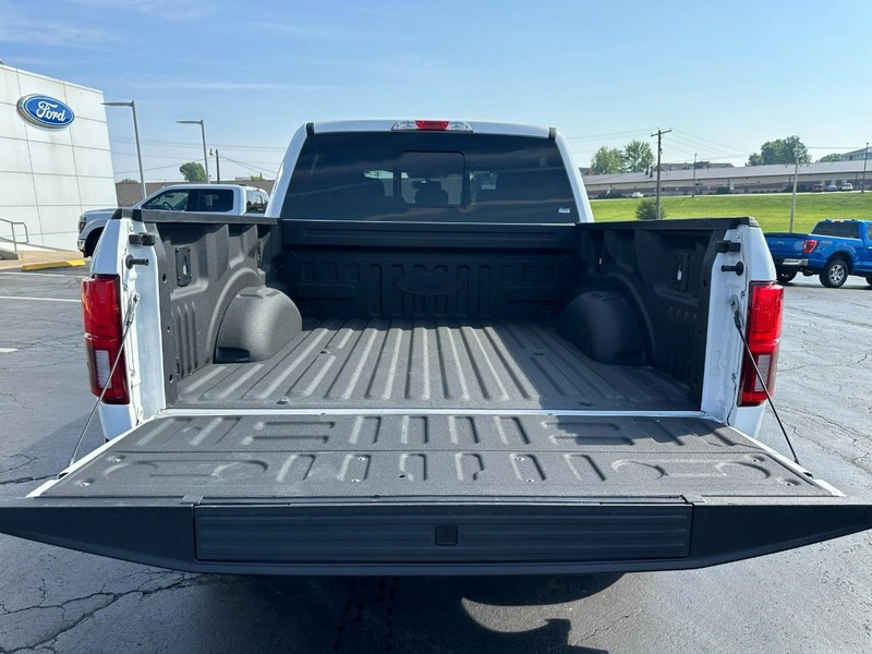 Ford F-150 Vehicle Image 05