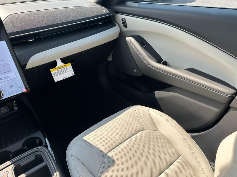 Ford Mustang Mach-E Vehicle Image 10