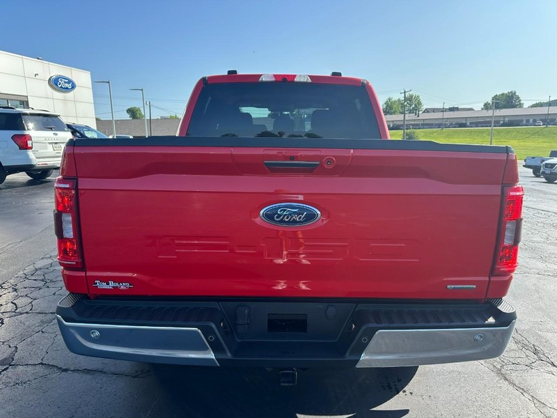 Ford F-150 Vehicle Image 04