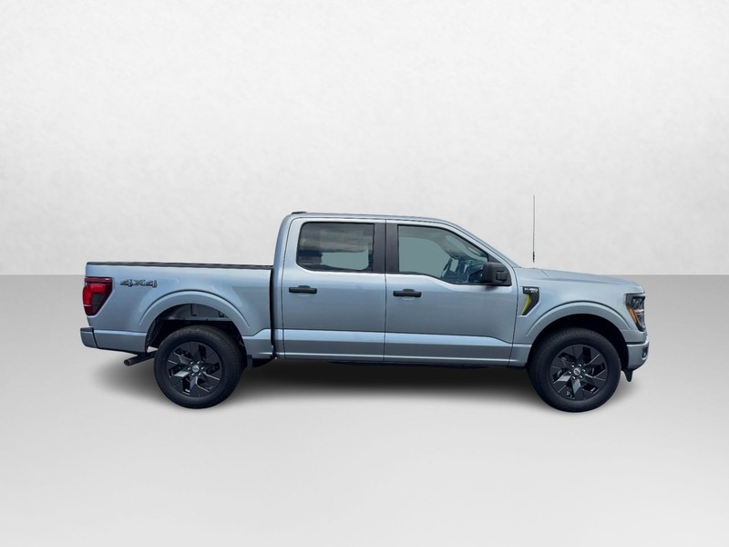 Ford F-150 Vehicle Image 02