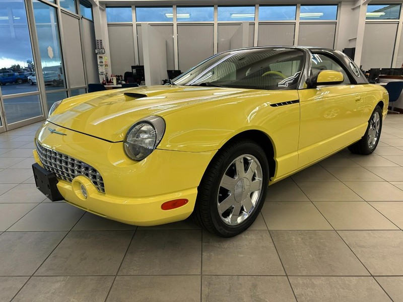 Ford Thunderbird Vehicle Image 07