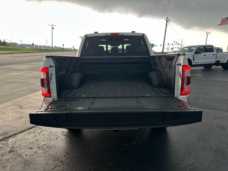 Ford F-150 Vehicle Image 05