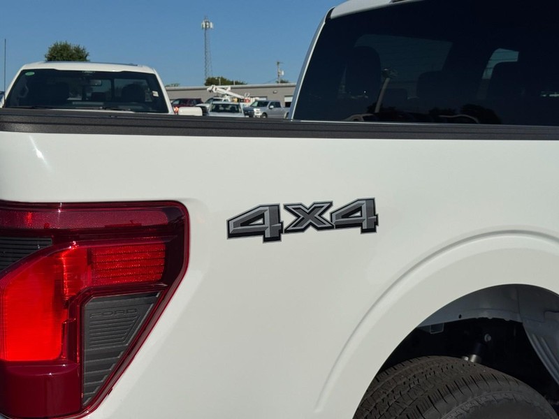 Ford F-150 Vehicle Image 04