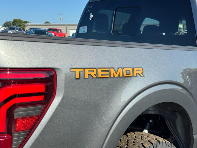 Ford F-150 Vehicle Image 04