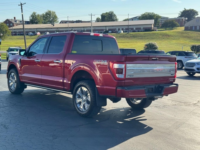 Ford F-150 Vehicle Image 06